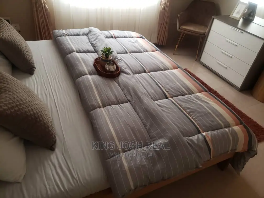 Fully Furnished 3 Bedroom House for Rent at East Airport