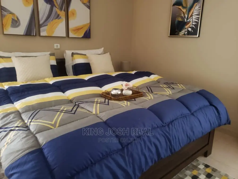 Fully Furnished 3 Bedroom House for Rent at East Airport