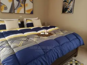 Fully Furnished 3 Bedroom House for Rent at East Airport