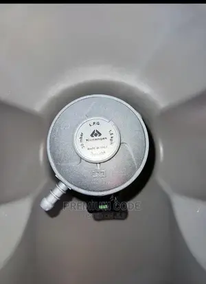 Durable Gas Regulator
