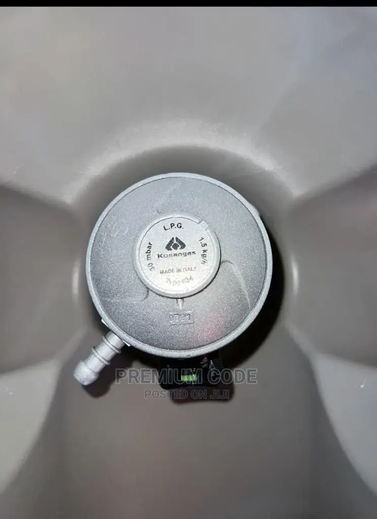 Durable Gas Regulator