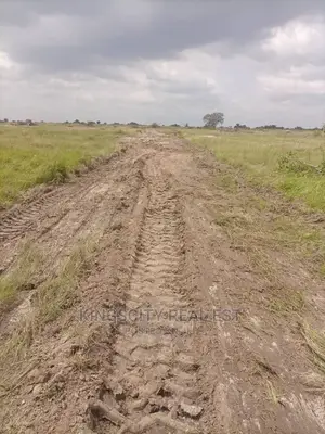 Vast Demarcated Land for Sale at Tsopoli