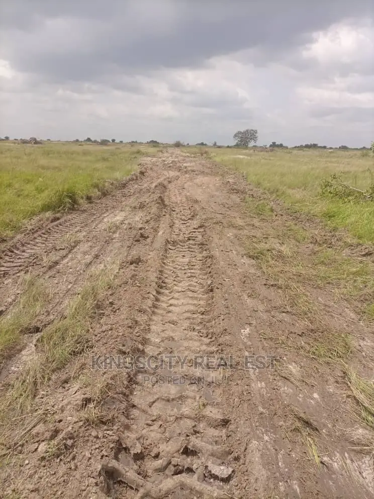 Vast Demarcated Land for Sale at Tsopoli