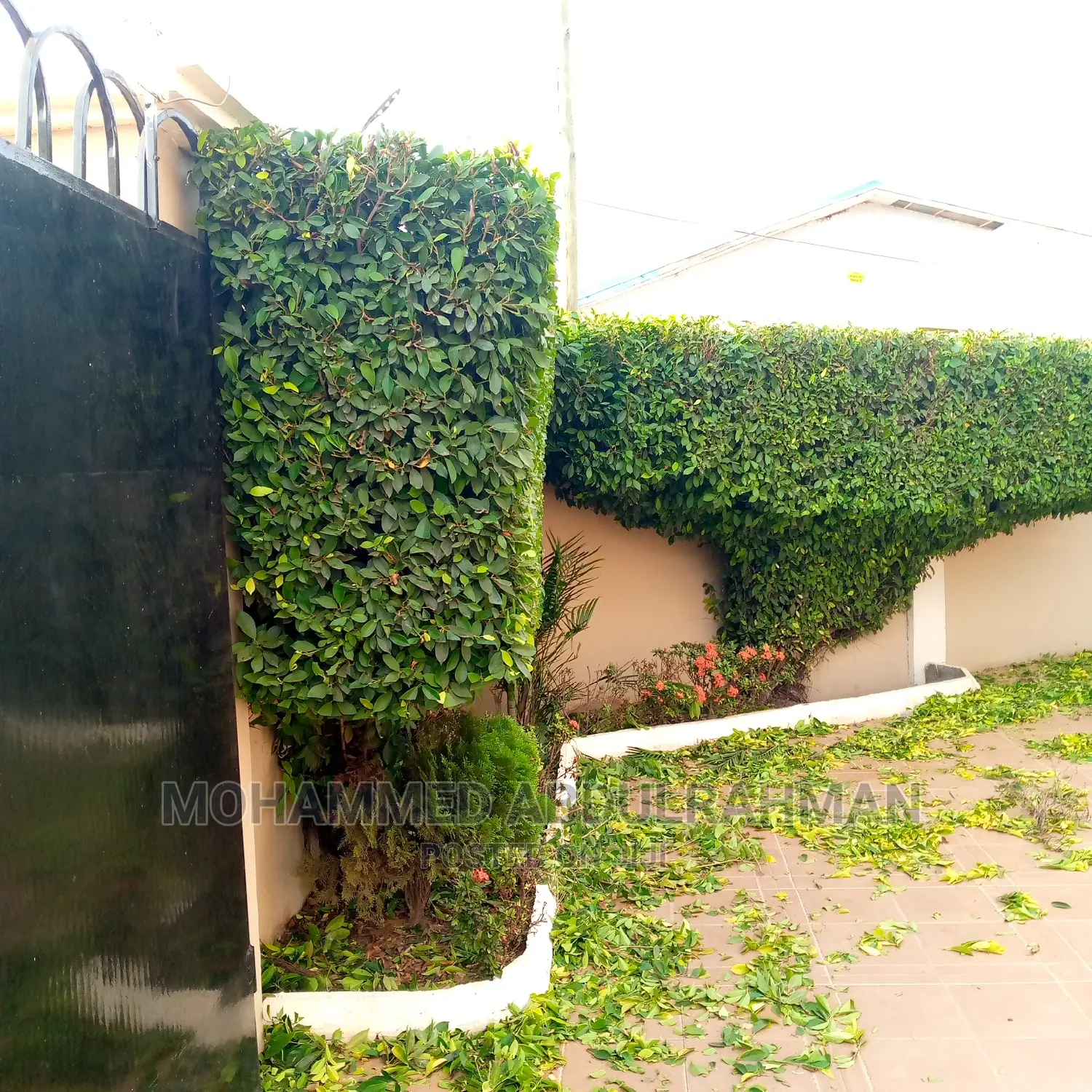 Master Gardeners