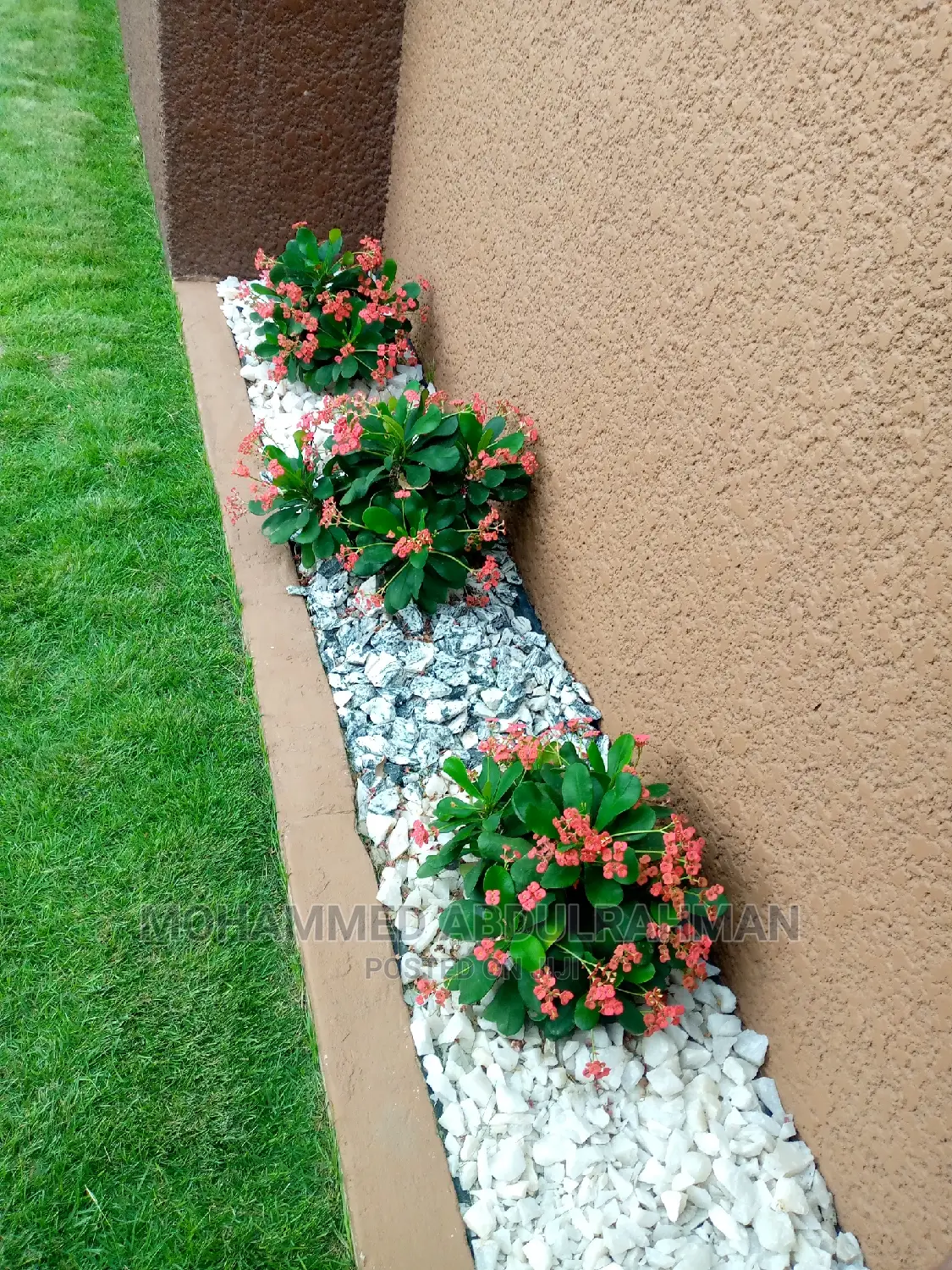 Master Gardeners