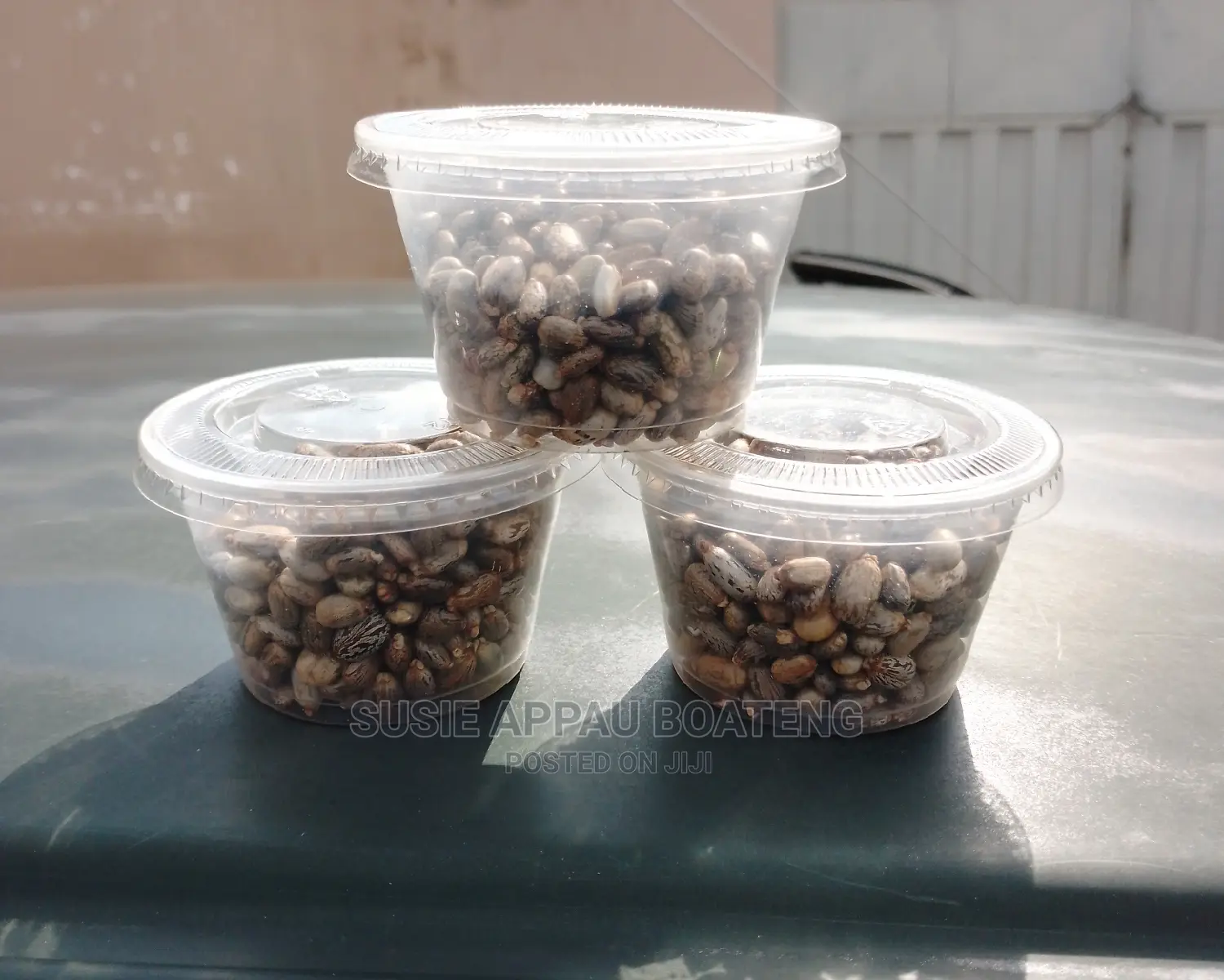 Cator Seed ( Natural Contraceptive Seed For Family Planning)
