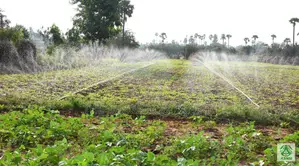 Rain Hose/Water for Me/Irrigation Hose