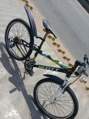 Lovely and Sporty Bike