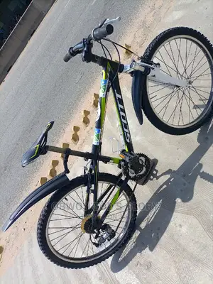 Lovely and Sporty Bike