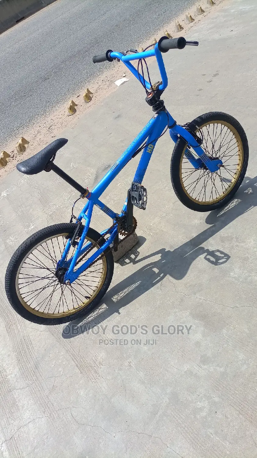 Lovely Blue BMX
