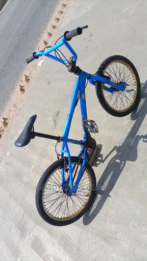 Lovely Blue BMX