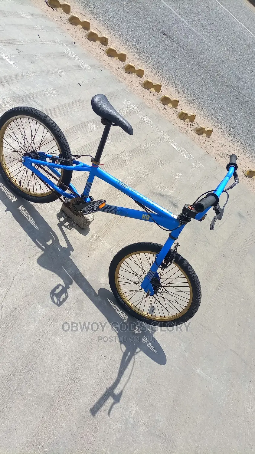 Lovely Blue BMX