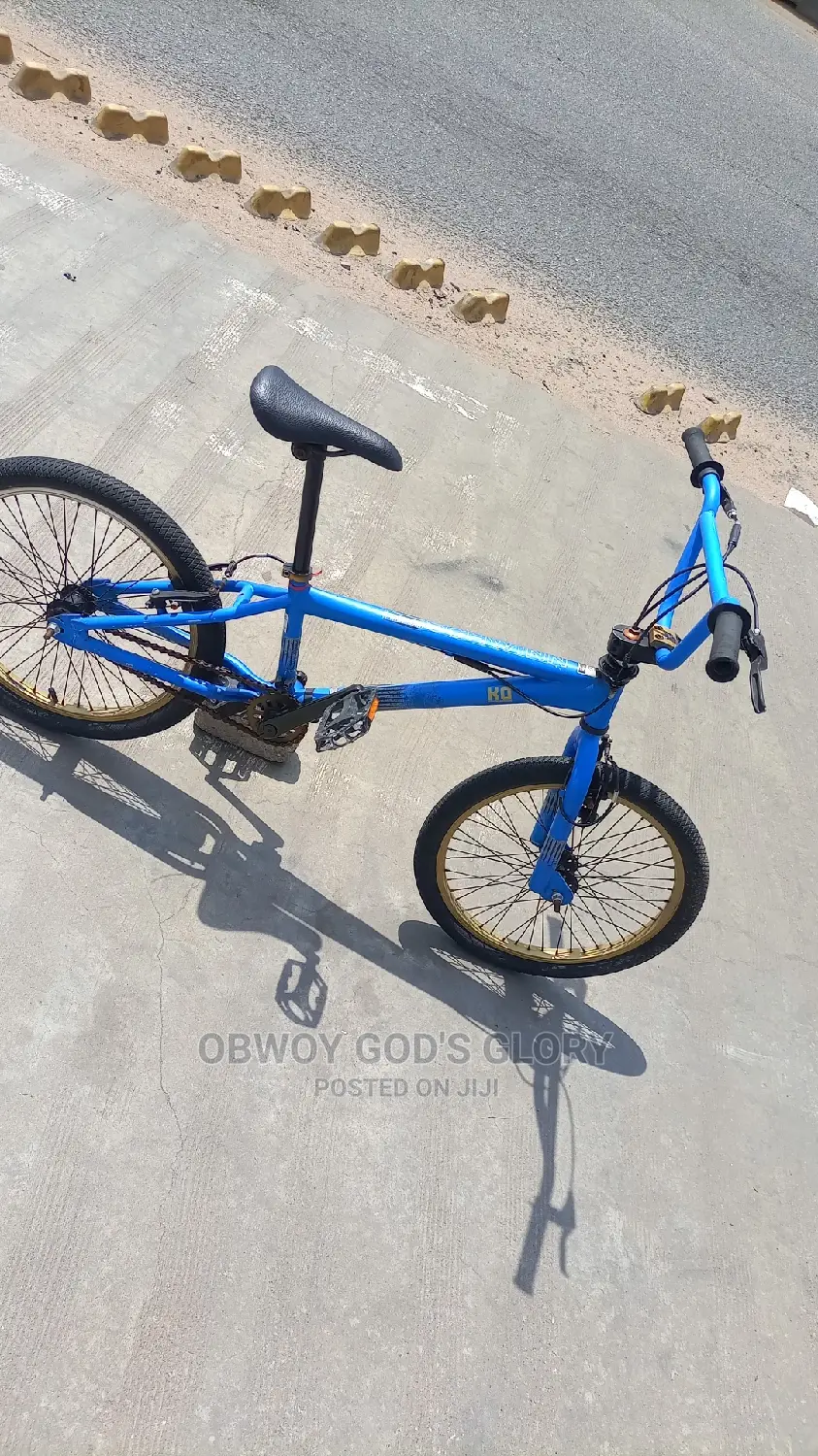 Lovely Blue BMX
