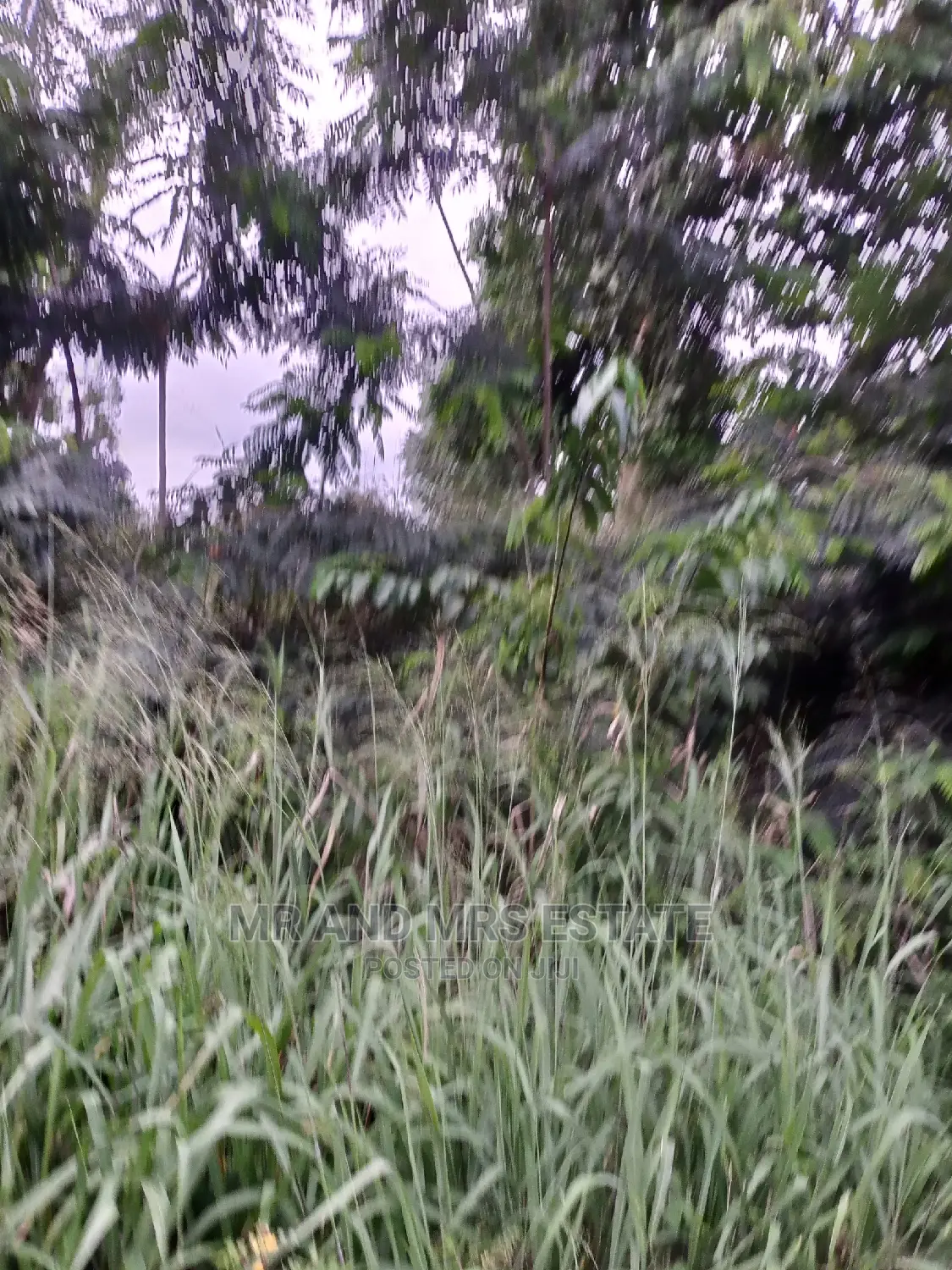 Filling Station Land for Sale