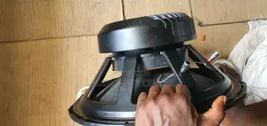 Fane 2400 Naked Speaker