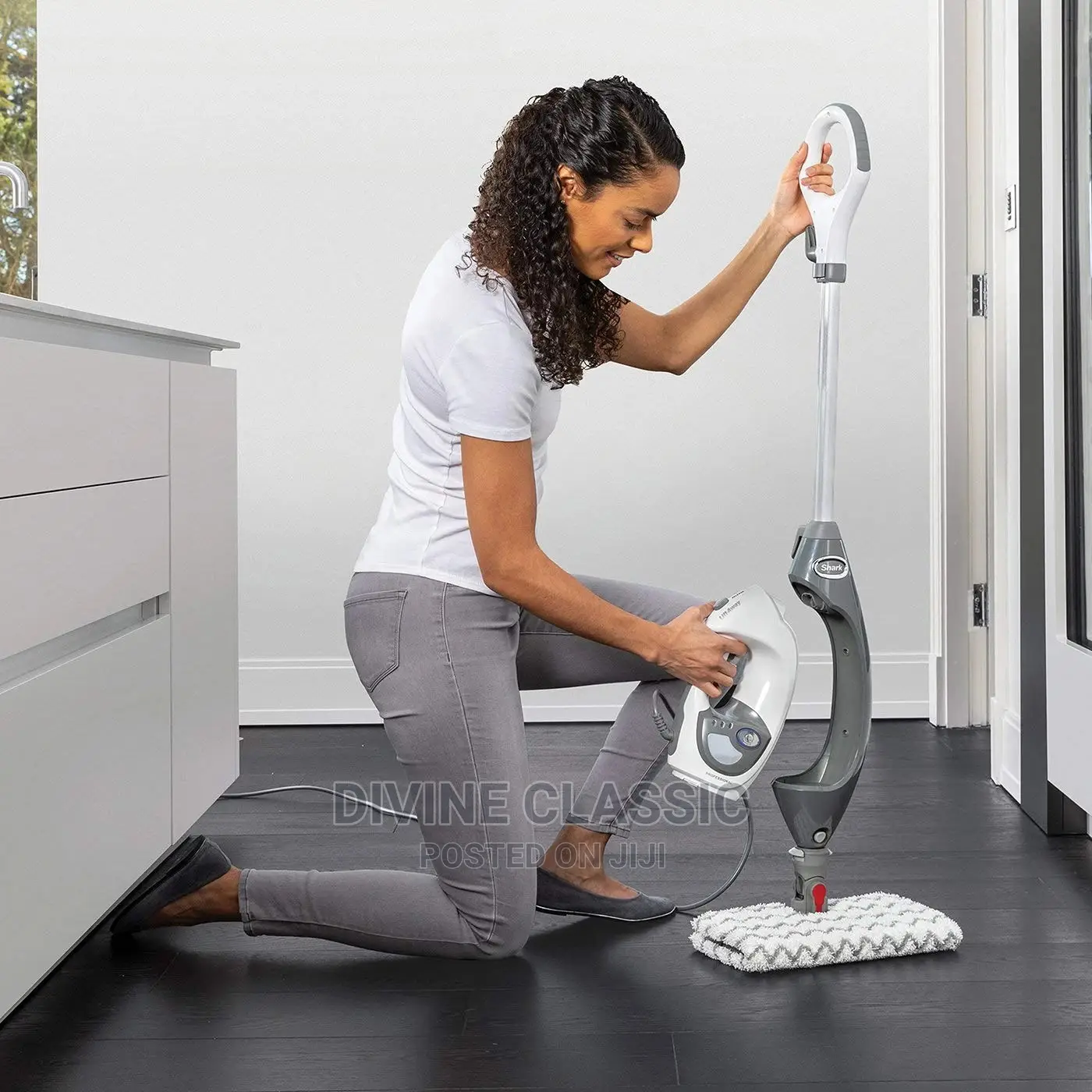 Shark Floor and Handheld Steam Cleaner