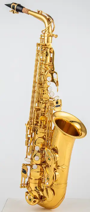 Learn Your Saxophones Pratically