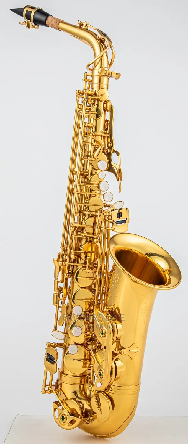 Learn Your Saxophones Pratically