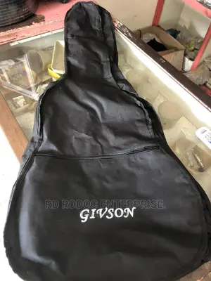 Acoustic Bag