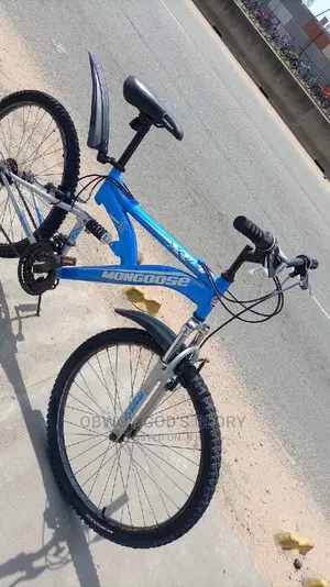 Nice Blue Spring Bike