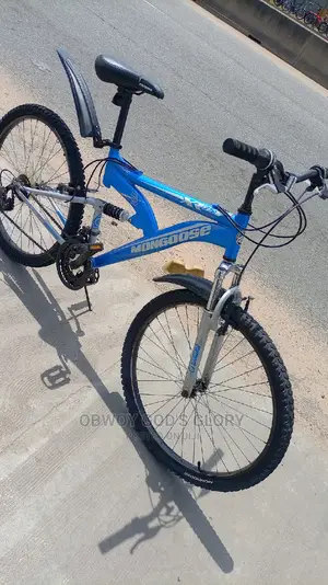Nice Blue Spring Bike