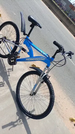 Nice Blue Spring Bike