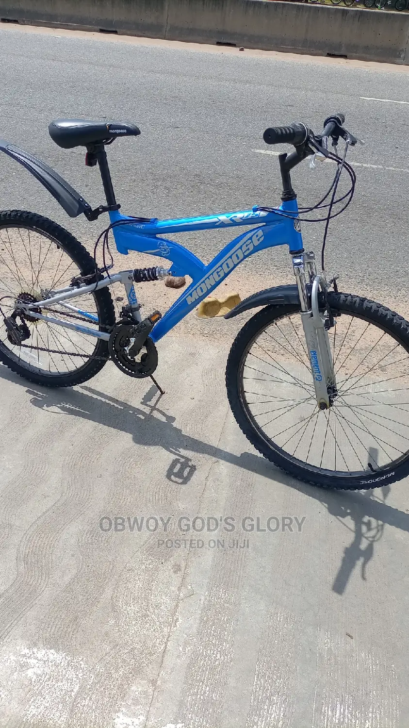 Nice Blue Spring Bike