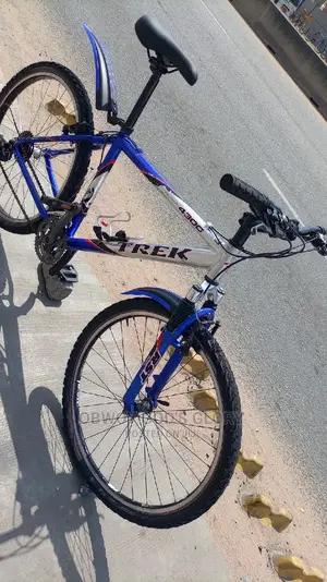 Gaint Mountain Type Bike