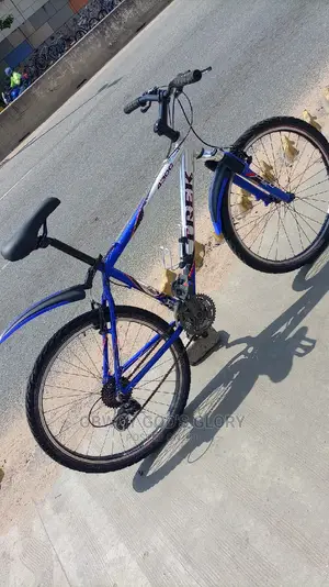 Gaint Mountain Type Bike