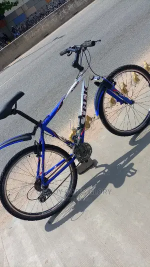 Gaint Mountain Type Bike
