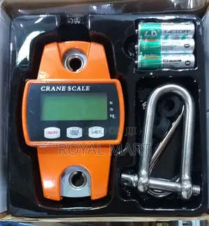 Mini Crane Scale