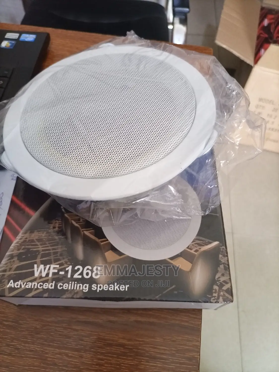 Ceiling Speaker