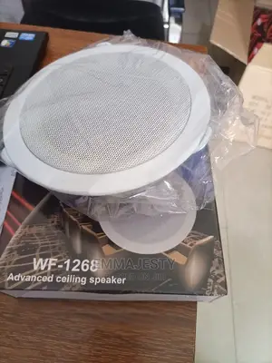 Ceiling Speaker
