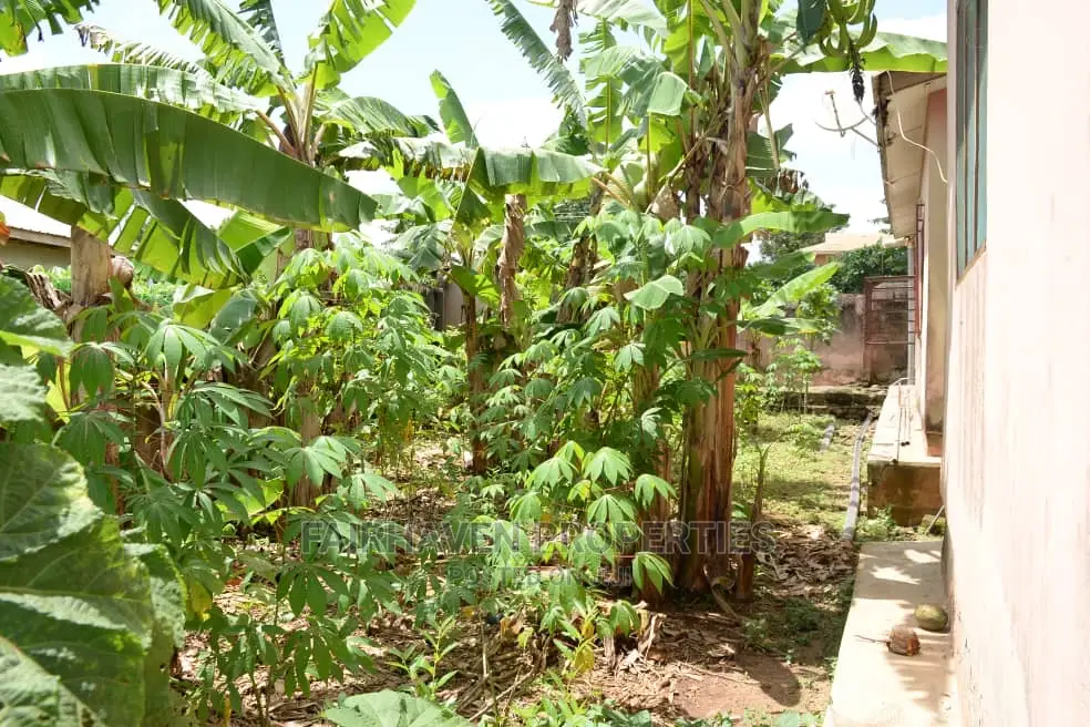 5bdrm House in Fairhaven Properties, Agona East for Sale