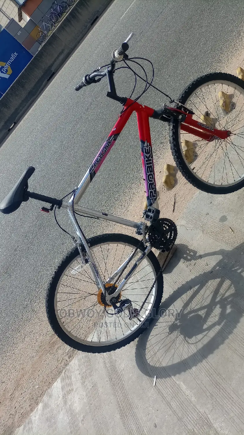 Red and Ash Mountain Bicycle