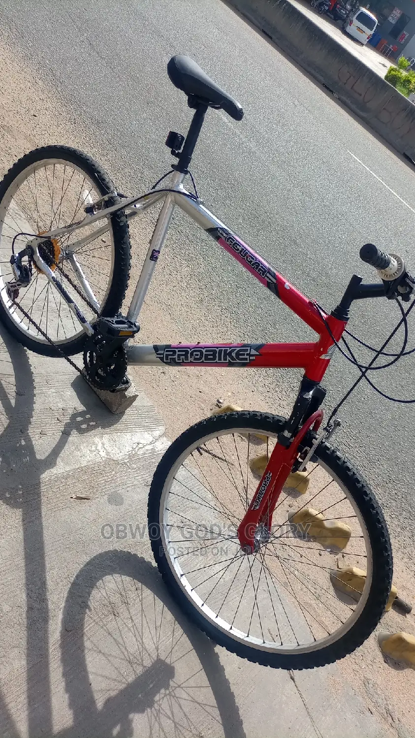 Red and Ash Mountain Bicycle