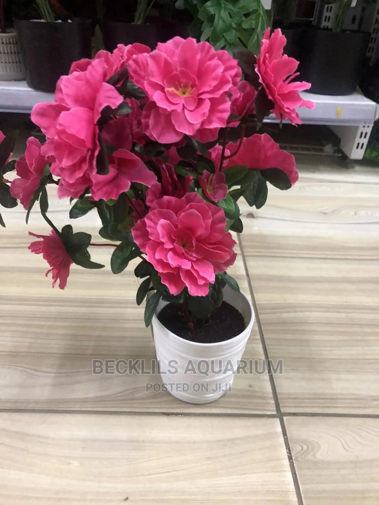 Quality Flowers