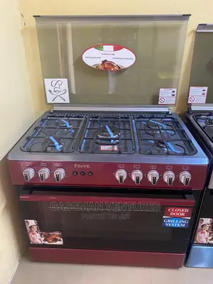 Ferre 5 Burner Oven Stove 60*90