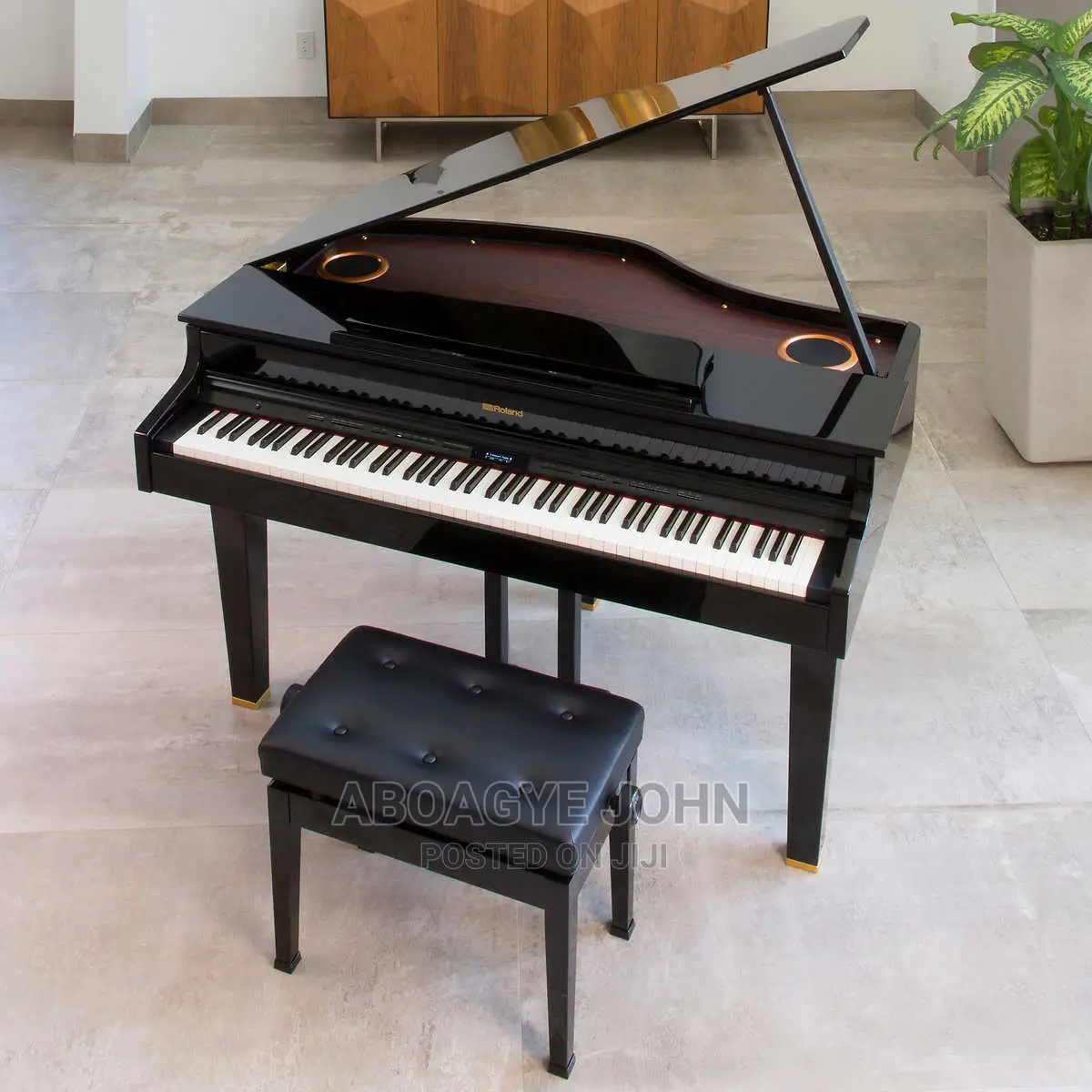 Instrumentalist Cv