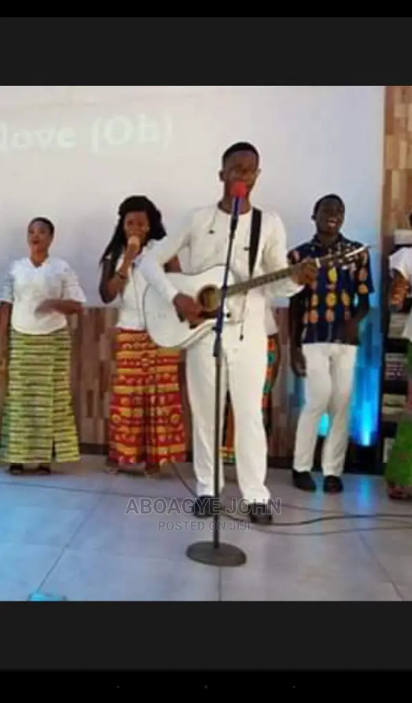 Instrumentalist Cv