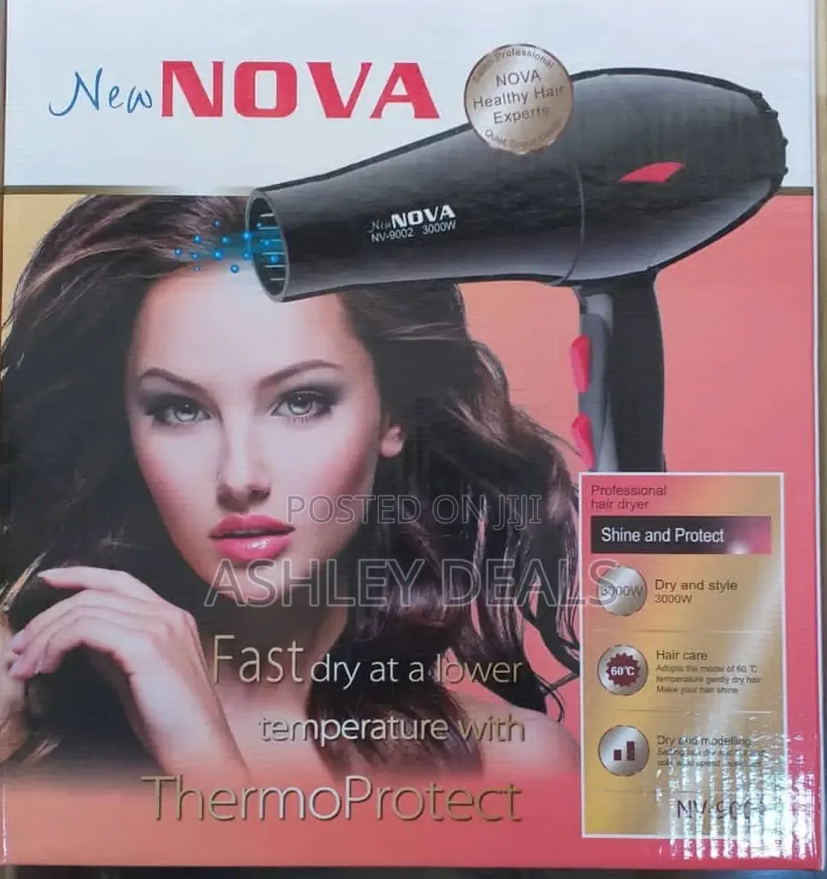 Professional Hair Dryer