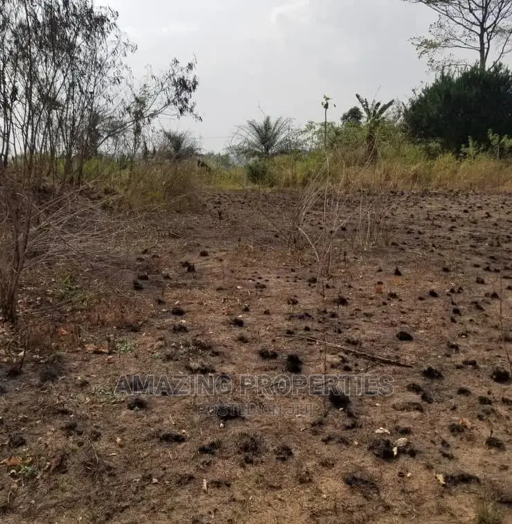 76 Acres of Land at Danfa