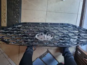 Front Upper Bumper Grille Ford Edge 2019-2022 W Camera Punch