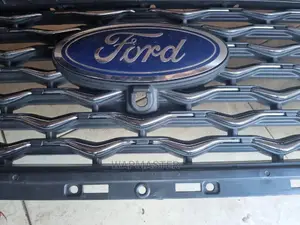 Front Upper Bumper Grille Ford Edge 2019-2022 W Camera Punch