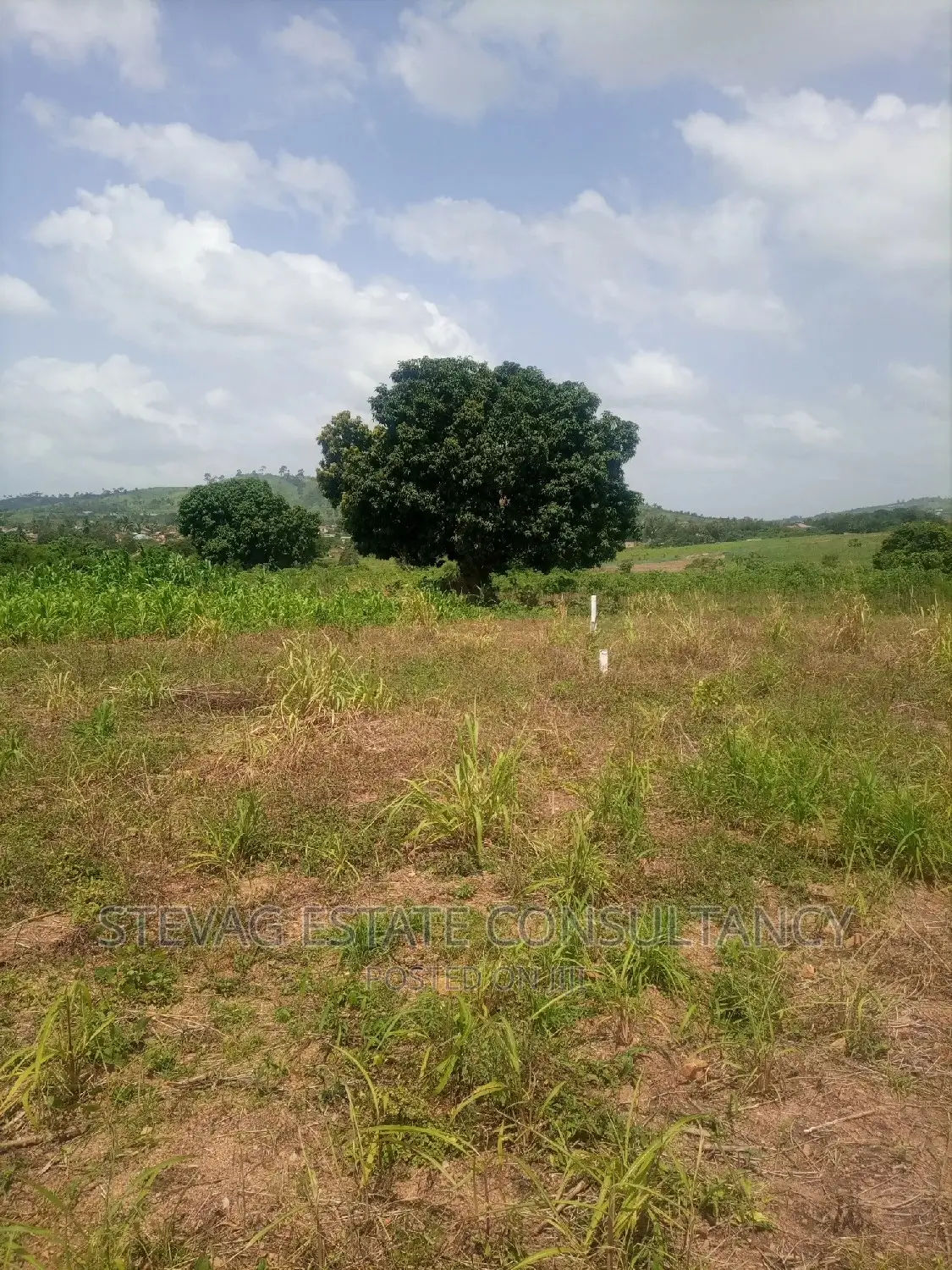 A Real Estate Land for Sale at Kasoa Adawukwa