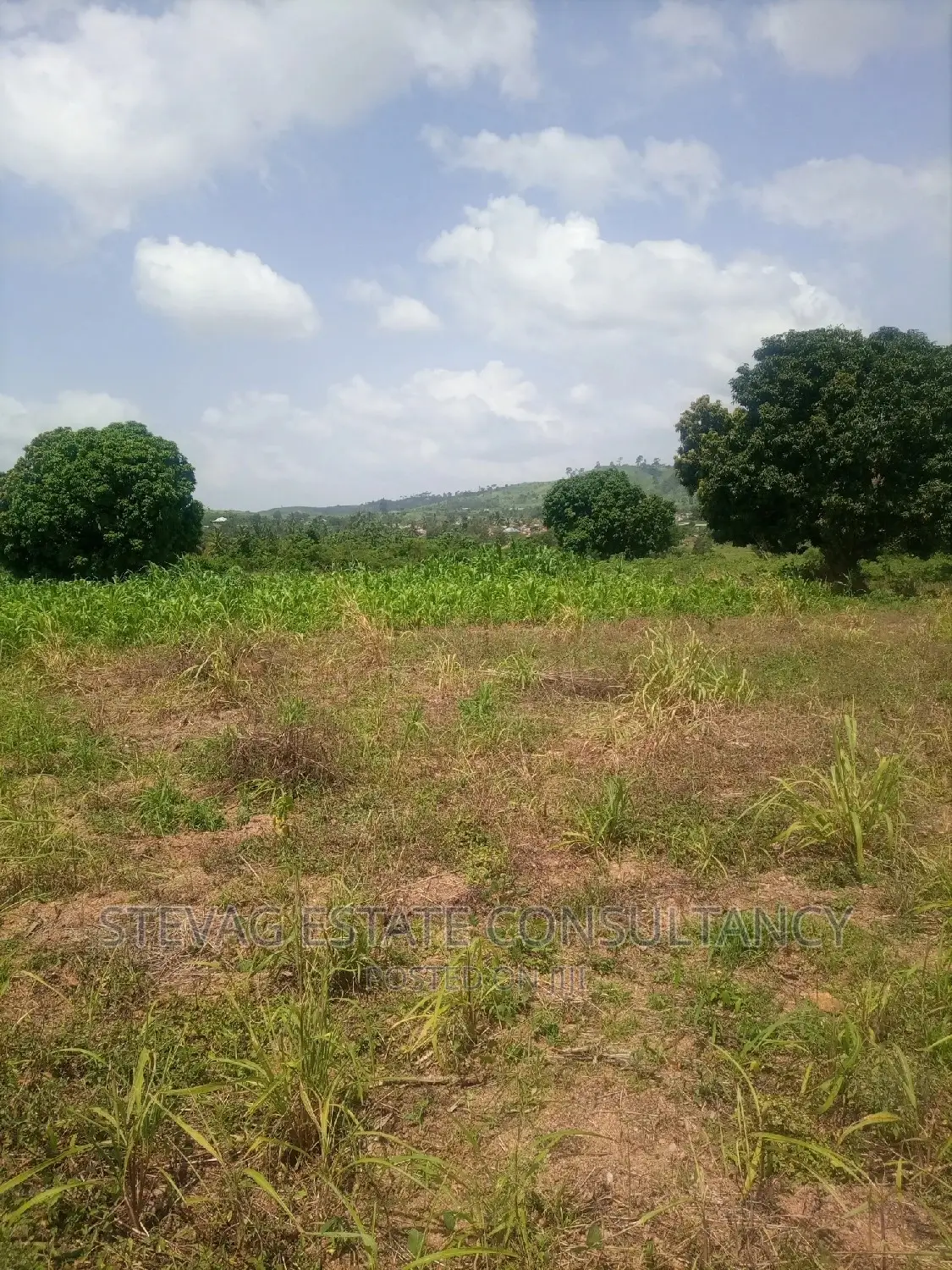A Real Estate Land for Sale at Kasoa Adawukwa