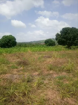 A Real Estate Land for Sale at Kasoa Adawukwa
