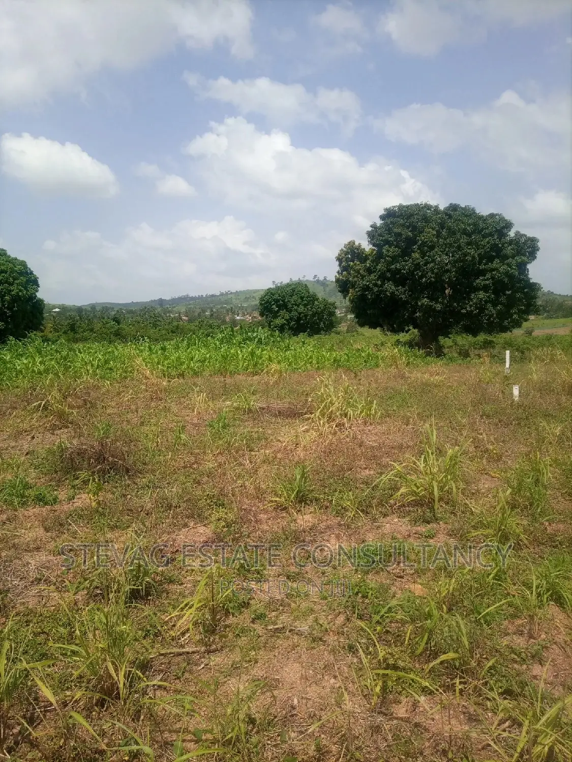 A Real Estate Land for Sale at Kasoa Adawukwa