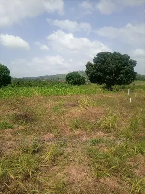 A Real Estate Land for Sale at Kasoa Adawukwa