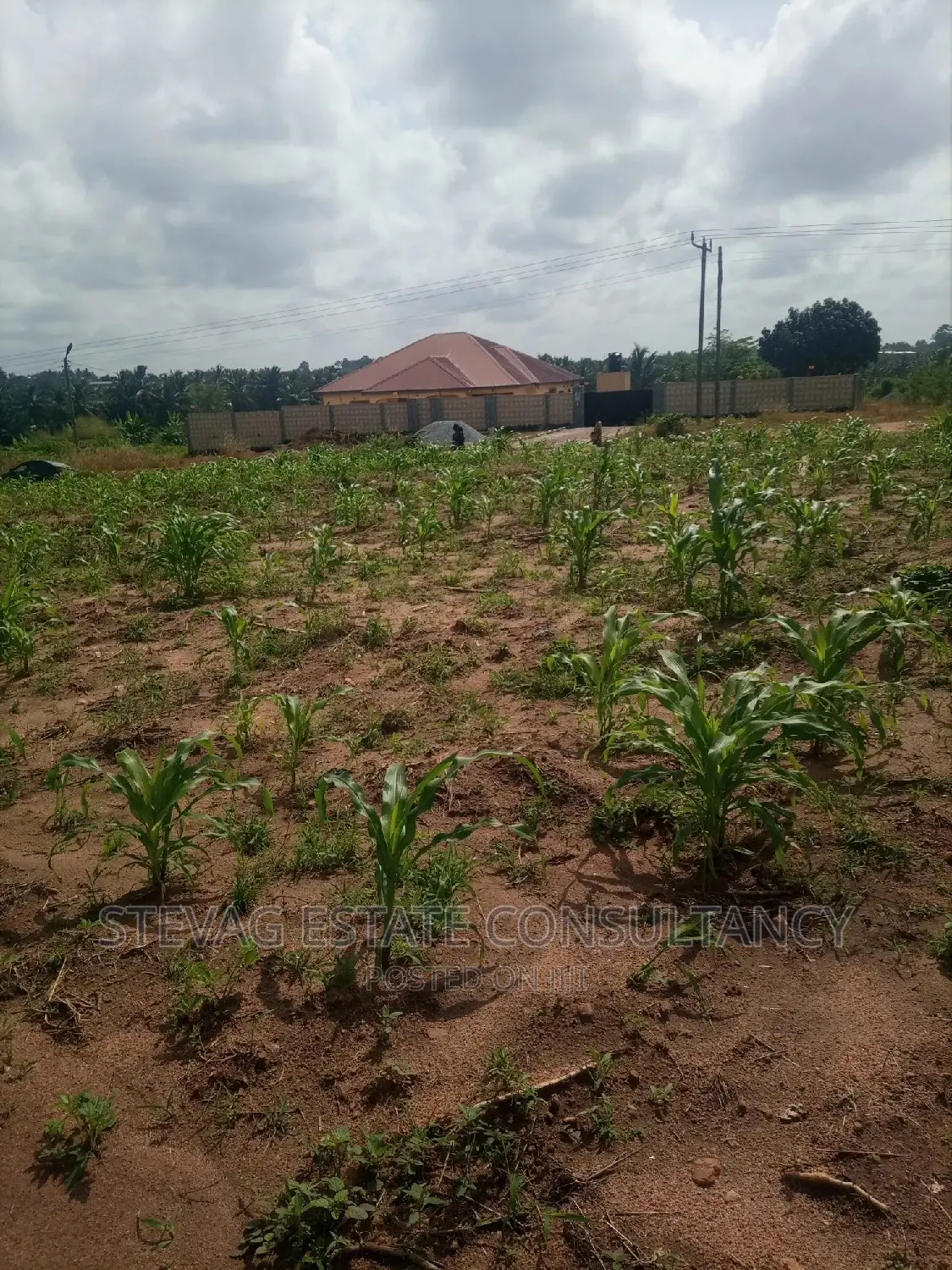 A Real Estate Land for Sale at Kasoa Adawukwa